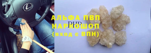 индика Вязники