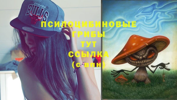 индика Вязники